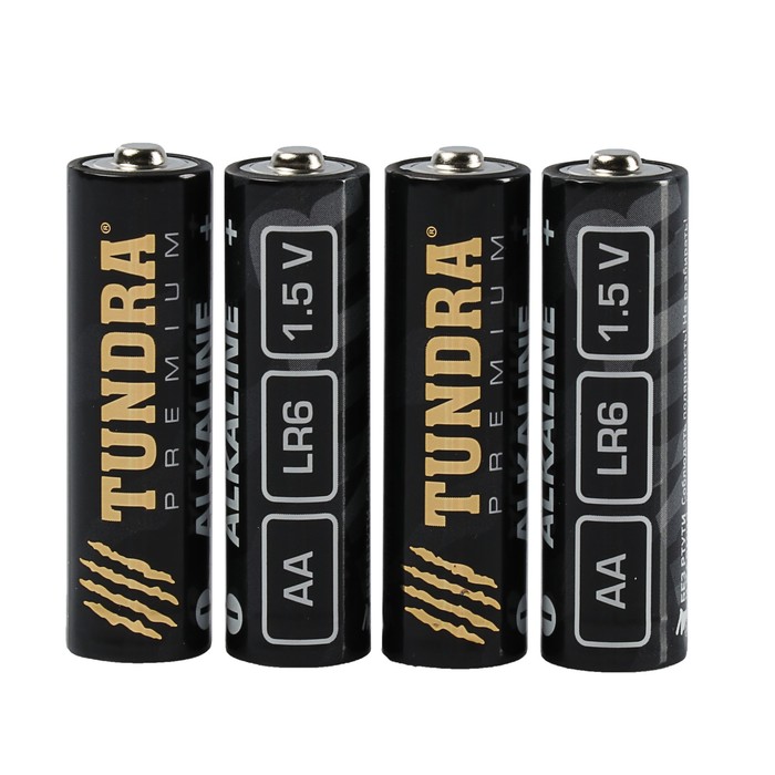 Батарейка Щелочная TUNDRA, ALKALINE AA, 10 шт, блистер