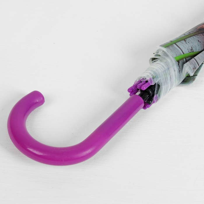 Зонт-трость "Цветы Тюльпаны", полуавтоматический, R=48см, цвет фиолетовый