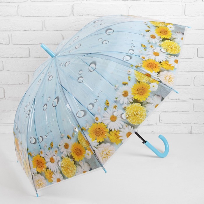 Зонт-трость "Цветы Ромашки", полуавтоматический, R=48см, цвет голубой