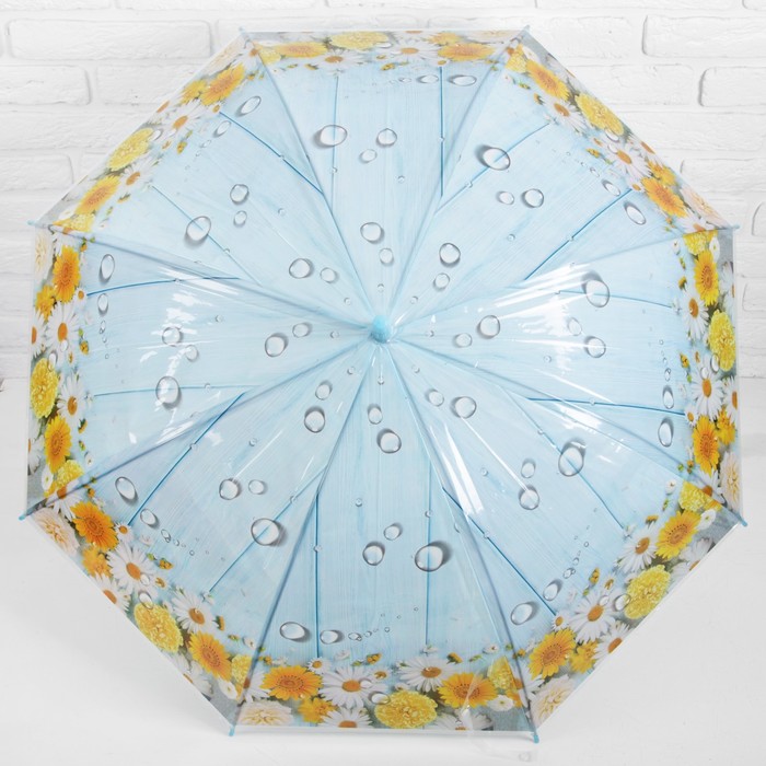 Зонт-трость "Цветы Ромашки", полуавтоматический, R=48см, цвет голубой