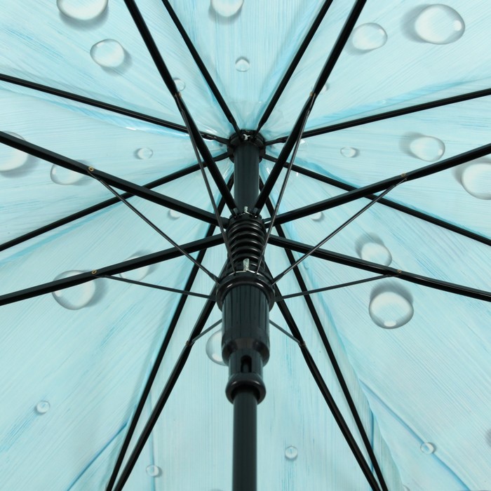 Зонт-трость "Цветы Ромашки", полуавтоматический, R=48см, цвет голубой