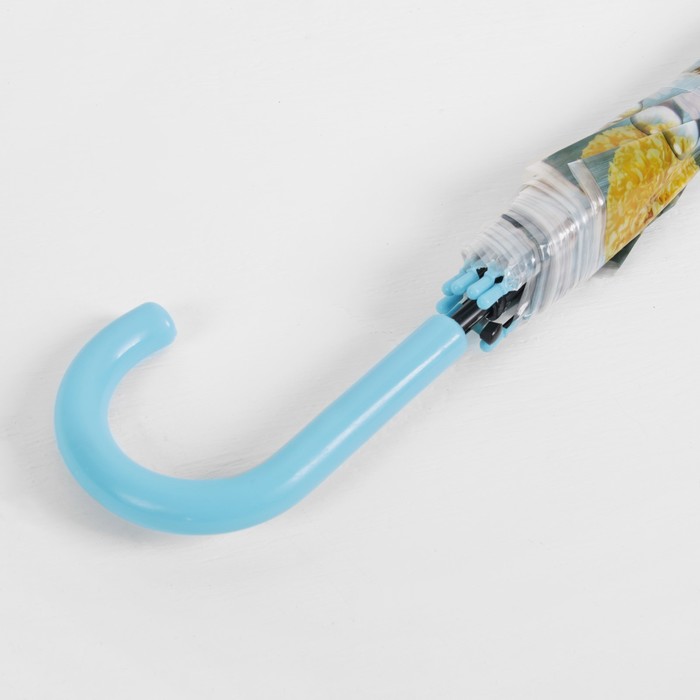 Зонт-трость "Цветы Ромашки", полуавтоматический, R=48см, цвет голубой