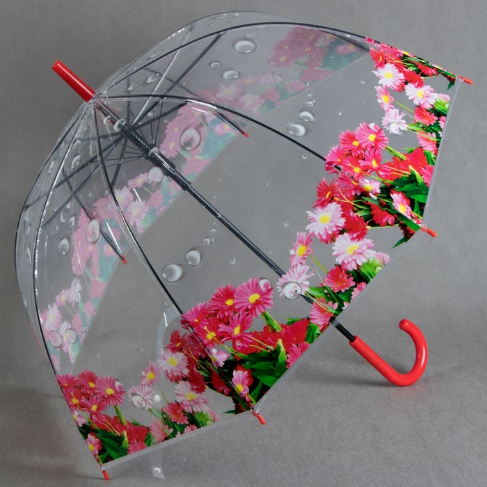 Зонт-трость "Цветы Герберы", полуавтоматический, R=42см, цвет красный