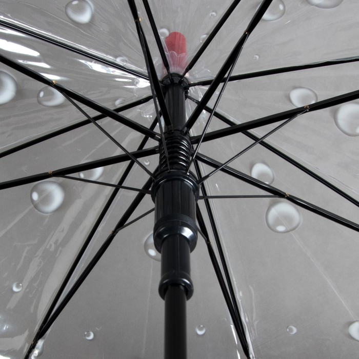 Зонт-трость "Цветы Герберы", полуавтоматический, R=42см, цвет красный