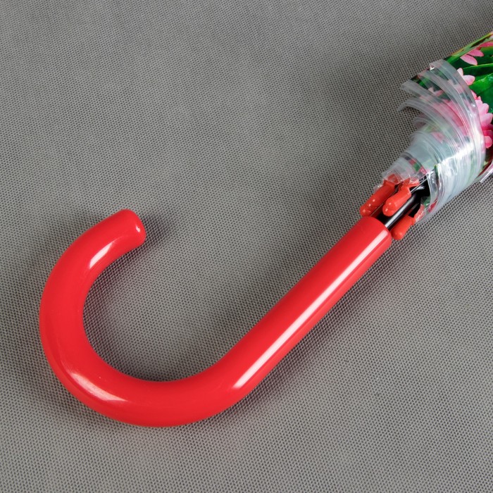 Зонт-трость "Цветы Герберы", полуавтоматический, R=42см, цвет красный