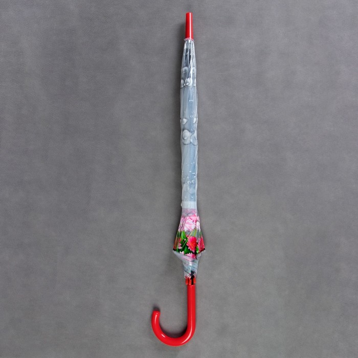 Зонт-трость "Цветы Герберы", полуавтоматический, R=42см, цвет красный