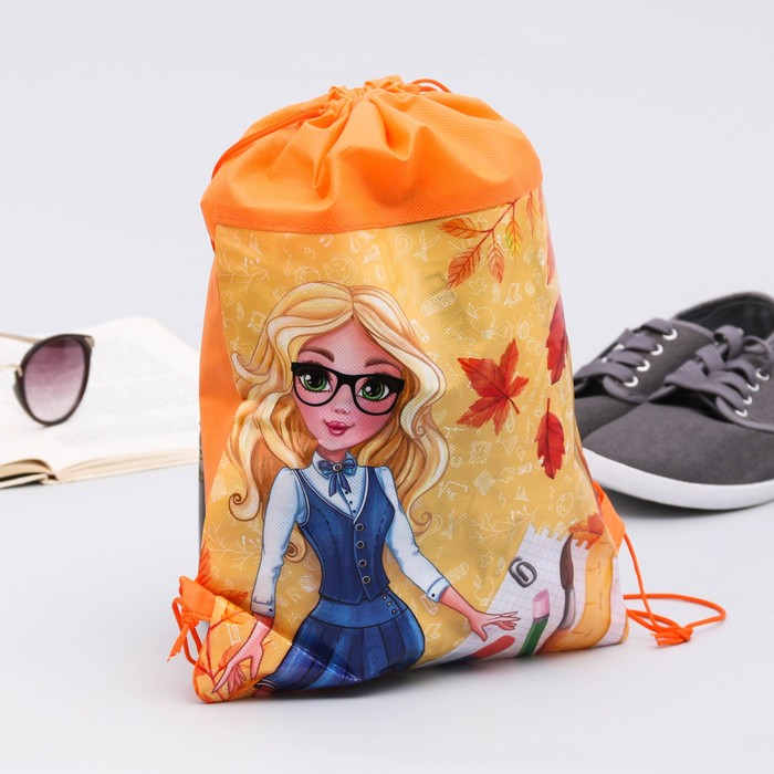 Мешок для обуви "Школа", 26 х 37,5 см