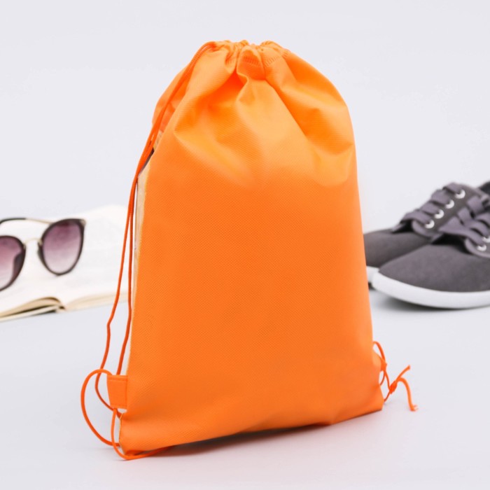 Мешок для обуви "Школа", 26 х 37,5 см