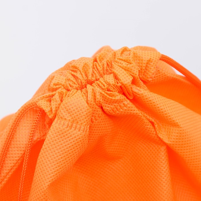 Мешок для обуви "Школа", 26 х 37,5 см