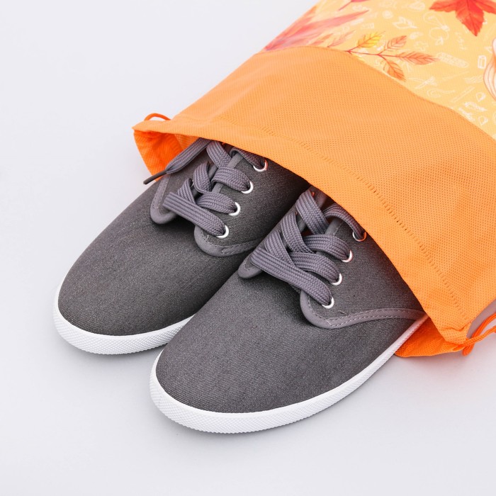 Мешок для обуви "Школа", 26 х 37,5 см