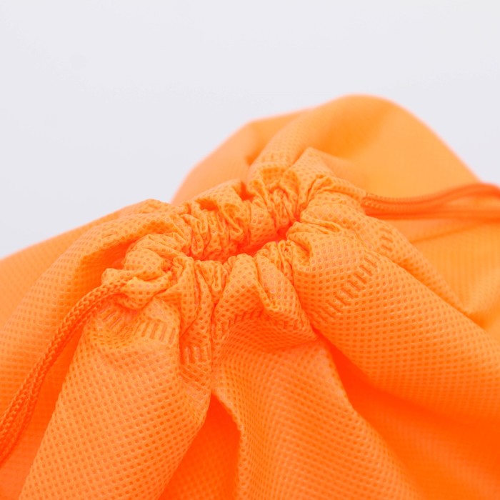 Мешок для обуви "Самая спортивная", 26 х 37,5 см