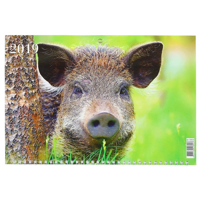 Календарь квартальный, трио "Символ года - 2" 2019 год, 31х69см