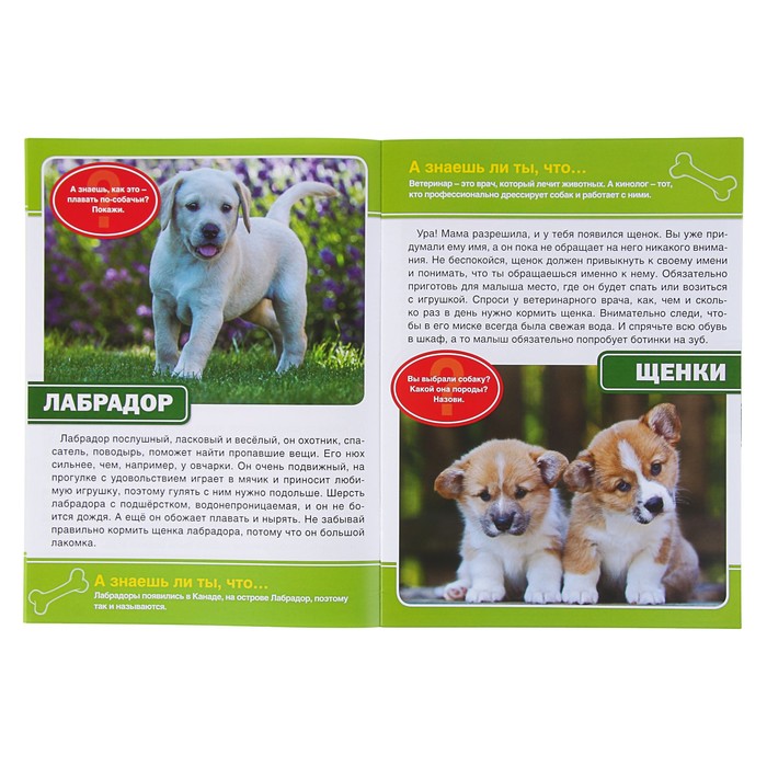 Энциклопедия. Собаки (214*290мм) 16стр