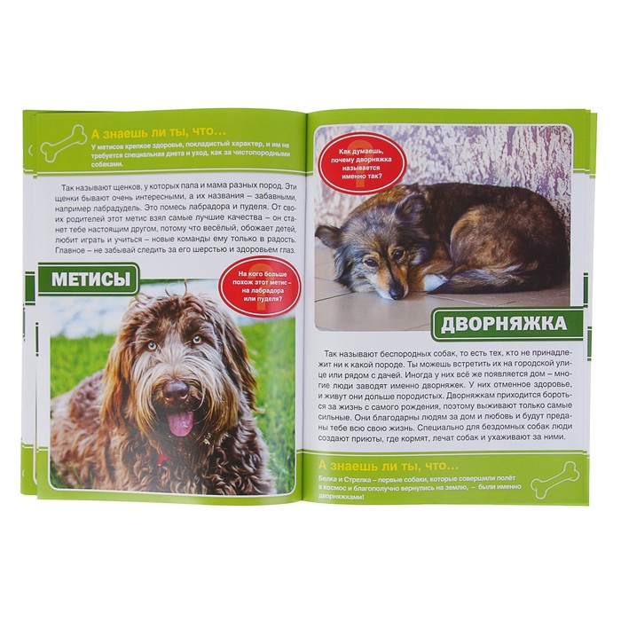 Энциклопедия. Собаки (214*290мм) 16стр