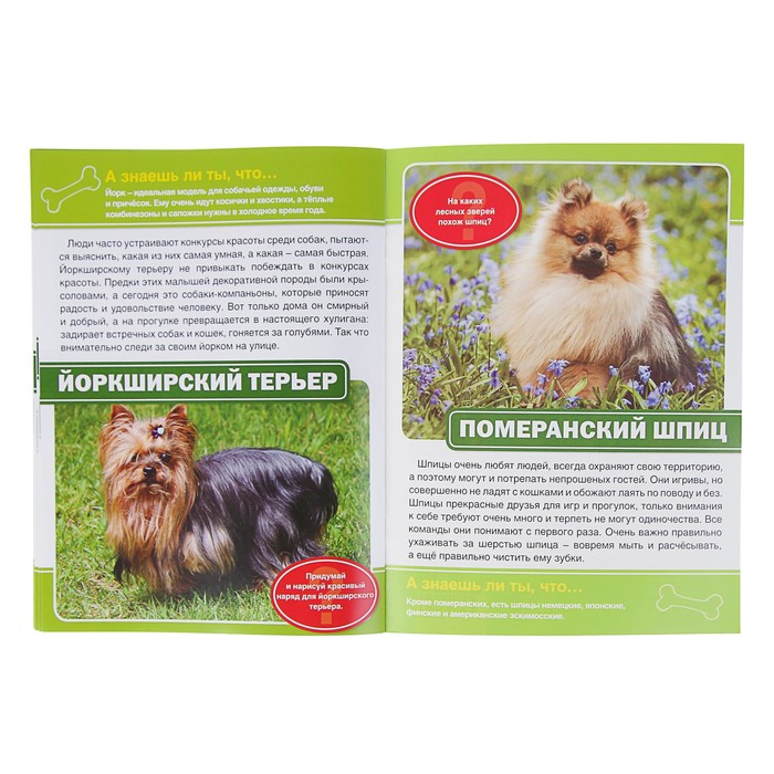 Энциклопедия. Собаки (214*290мм) 16стр