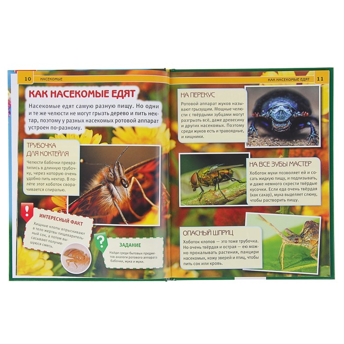 Энциклопедия. Насекомые (197*255мм) тв. обл 48стр