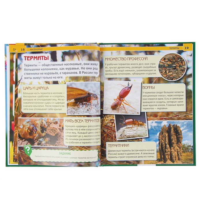 Энциклопедия. Насекомые (197*255мм) тв. обл 48стр