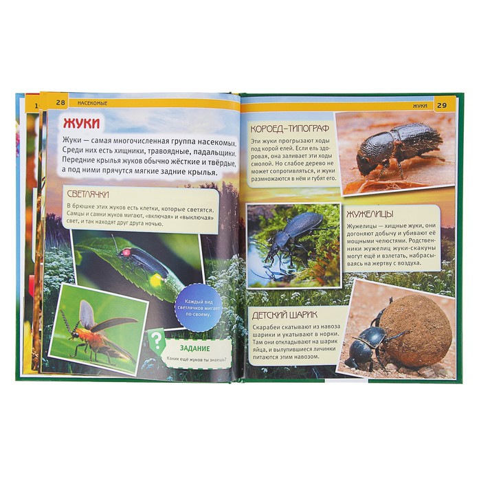 Энциклопедия. Насекомые (197*255мм) тв. обл 48стр
