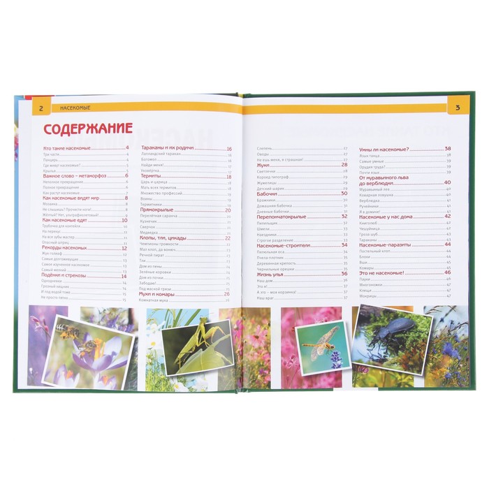 Энциклопедия. Насекомые (197*255мм) тв. обл 48стр
