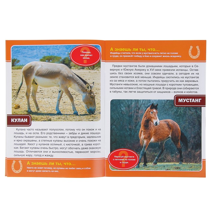 Энциклопедия. Лошади и пони (214*290мм) 16стр