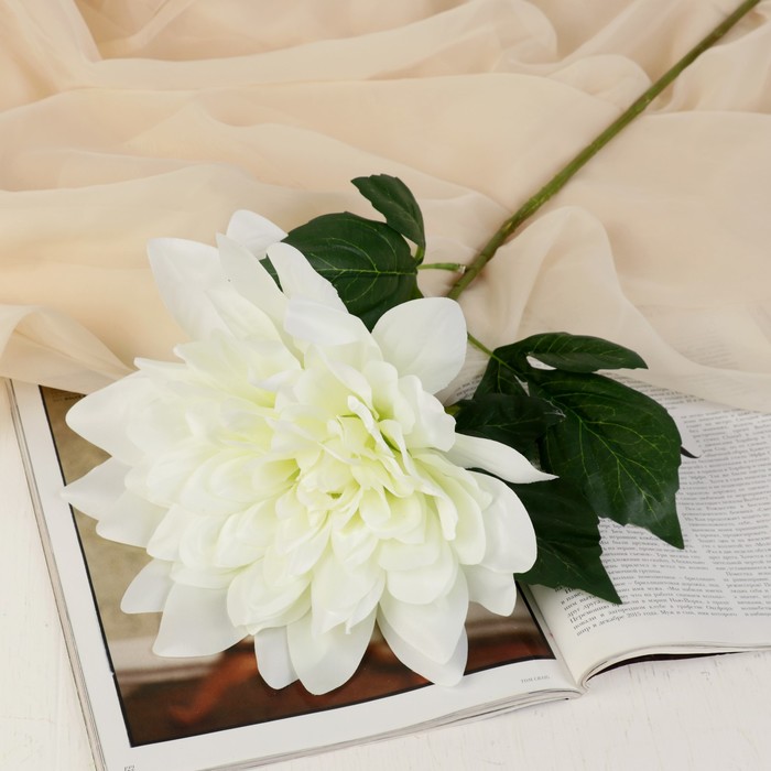 Цветы искусственные "Астра люкс" 24*70 см, белая