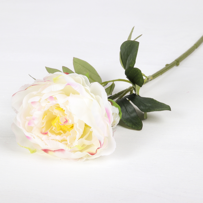 Цветы искусственные "Пион с ростком" 12*59 см, белый