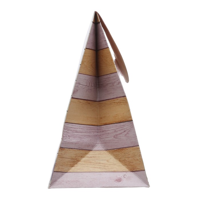 Пакет подарочный «Поздравляю», 23 × 18 × 10 см