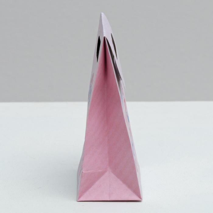 Пакет подарочный «Подарок замечательный», 12 × 16 × 6 см,