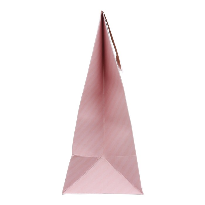 Пакет подарочный «Подарок замечательный», 18 × 23 × 10 см