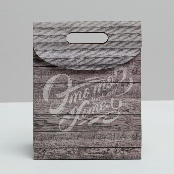 Пакет подарочный «Это то, что ты хотел», 18 × 23 × 10 см