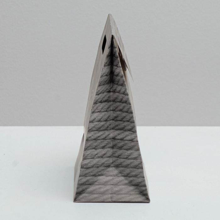 Пакет подарочный «Это то, что ты хотел», 18 × 23 × 10 см