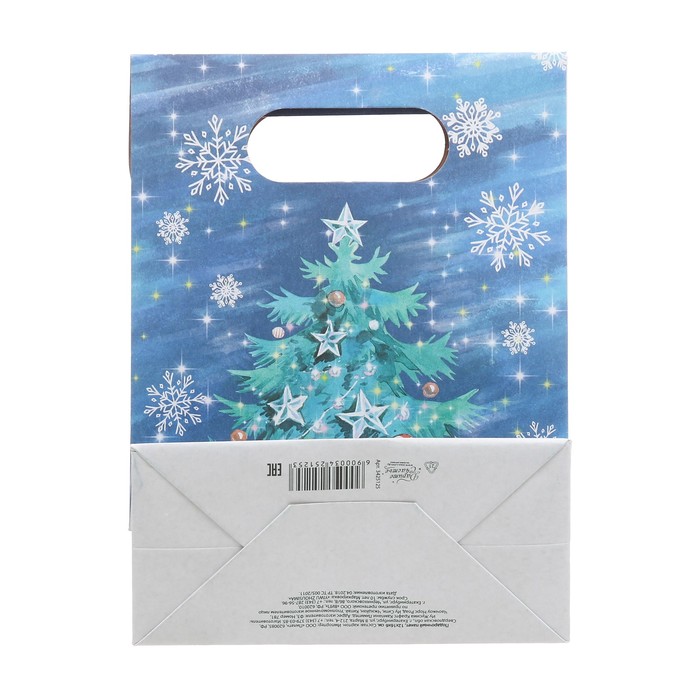 Пакет подарочный «Волшебного Нового Года!», 12 × 16 × 6 см