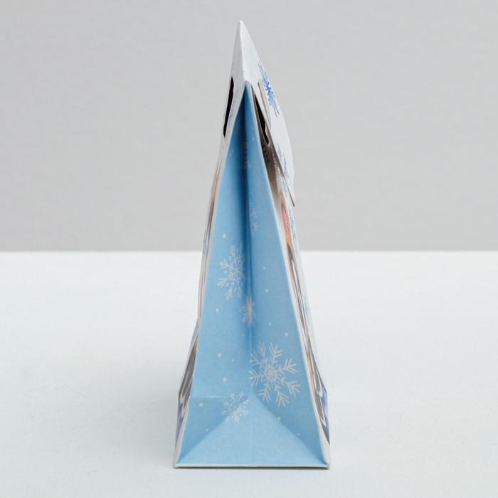 Пакет подарочный «Доброго праздника», 12 × 16 × 6 см,