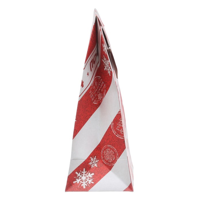 Пакет подарочный «Почта Новогодняя», 12 × 16 × 6 см,