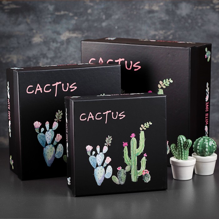 Набор коробок 3в1, 28 х 28 х 13 - 20 х 20 х 9 см