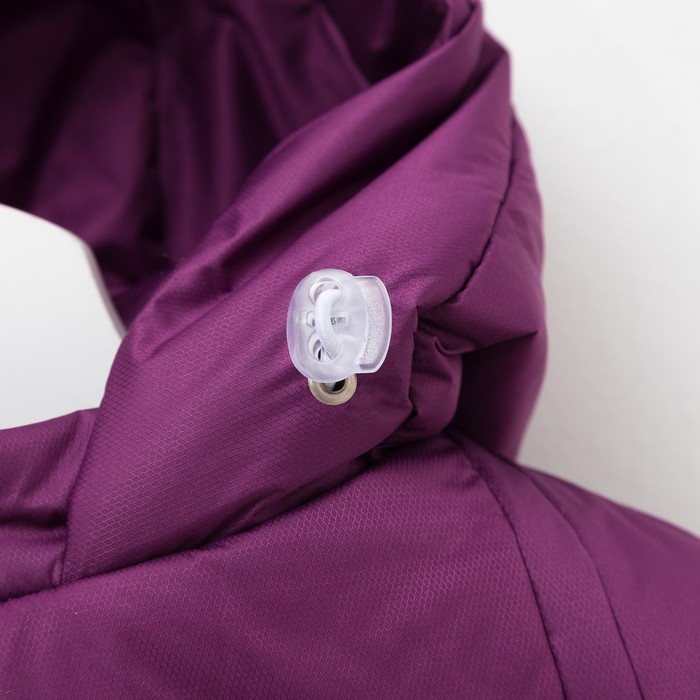 Комплект (Куртка + Полукомбинезон), рост 104 см, цвет фиолетовый