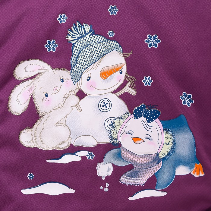 Комплект (Куртка + Полукомбинезон), рост 104 см, цвет фиолетовый