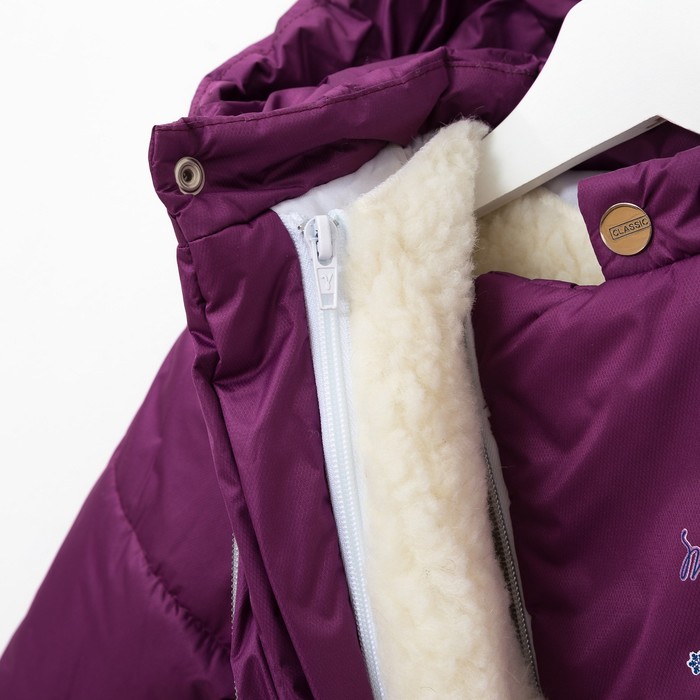 Комплект (Куртка + Полукомбинезон), рост 104 см, цвет фиолетовый