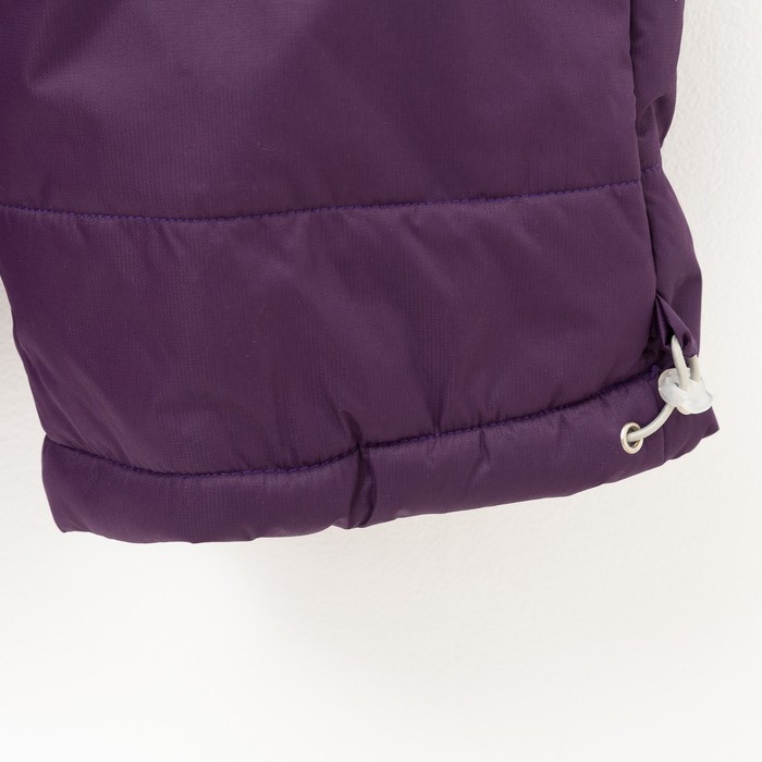 Комплект (Куртка + Полукомбинезон), рост 104 см, цвет фиолетовый