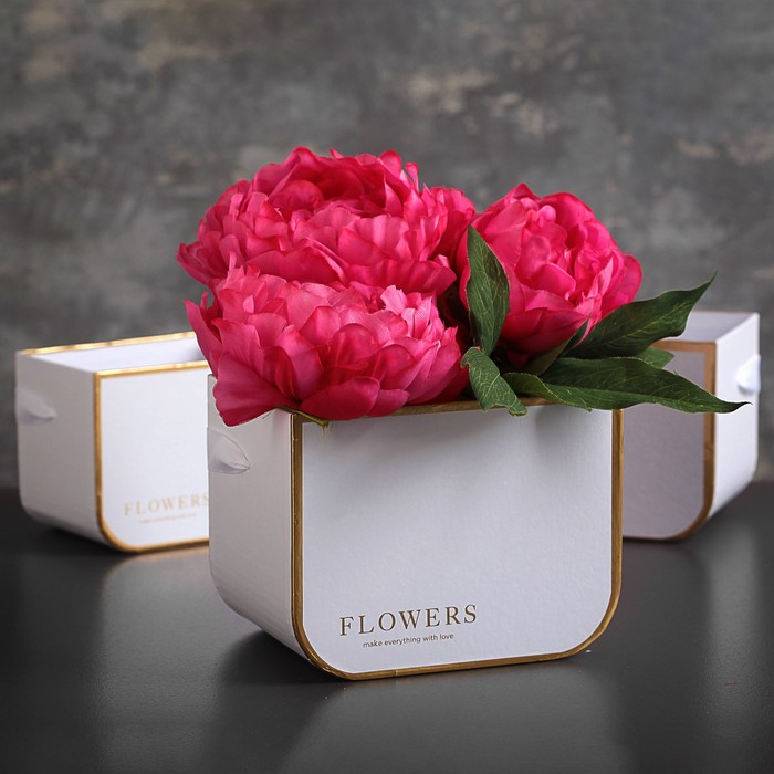 Переноски для цветов 3в1, 12,5 х 9 х 10 - 16,5 х 11,5 х 12,5 см