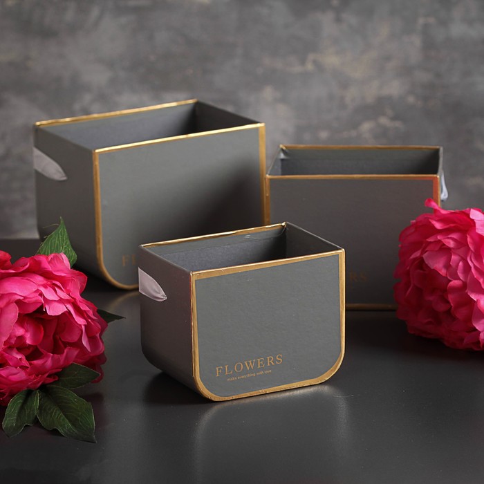 Переноски для цветов 3в1, 12,5 х 9 х 10 - 16,5 х 11,5 х 12,5 см