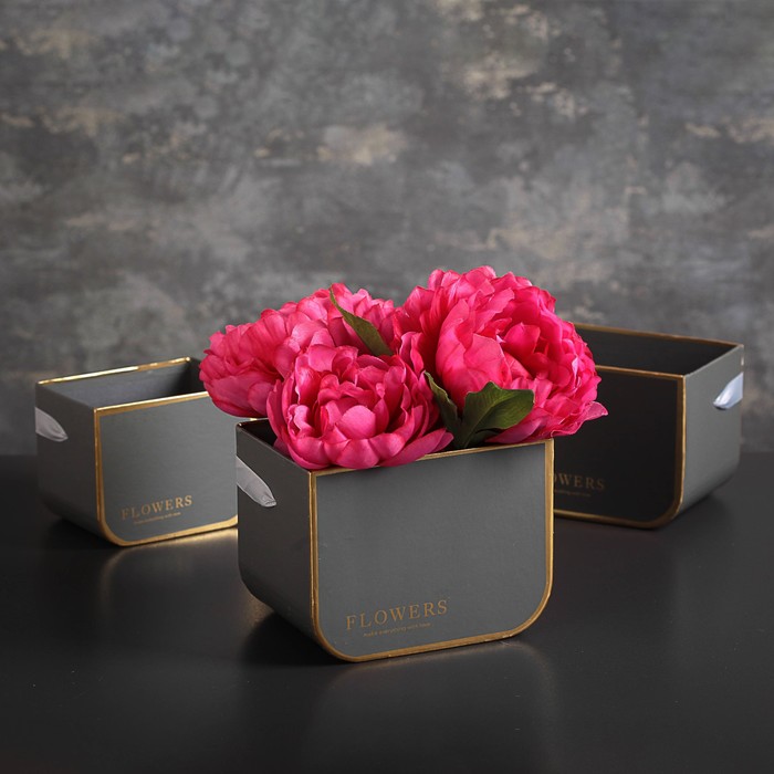 Переноски для цветов 3в1, 12,5 х 9 х 10 - 16,5 х 11,5 х 12,5 см