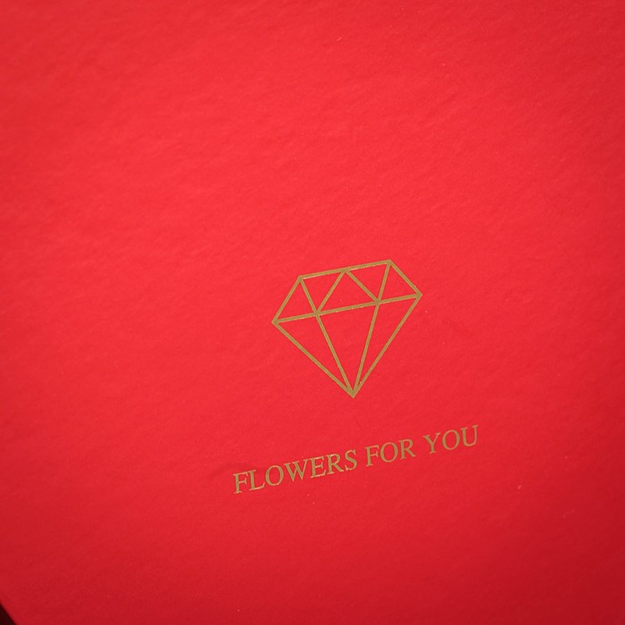 Коробка подарочная, 22,5 х 22,5 х 27 см