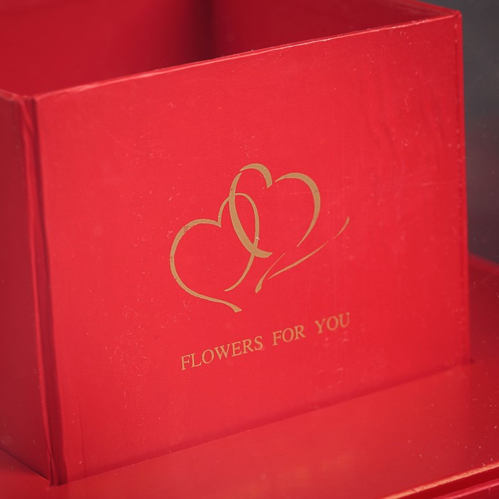 Коробка подарочная, 20 х 20 х 28 см