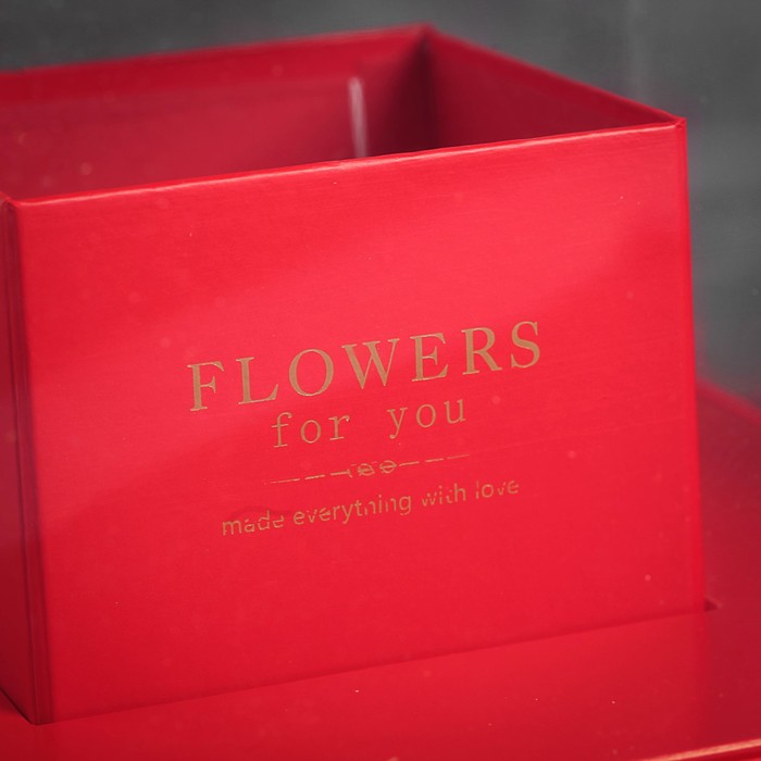 Коробка подарочная, 25 х 25 х 28 см