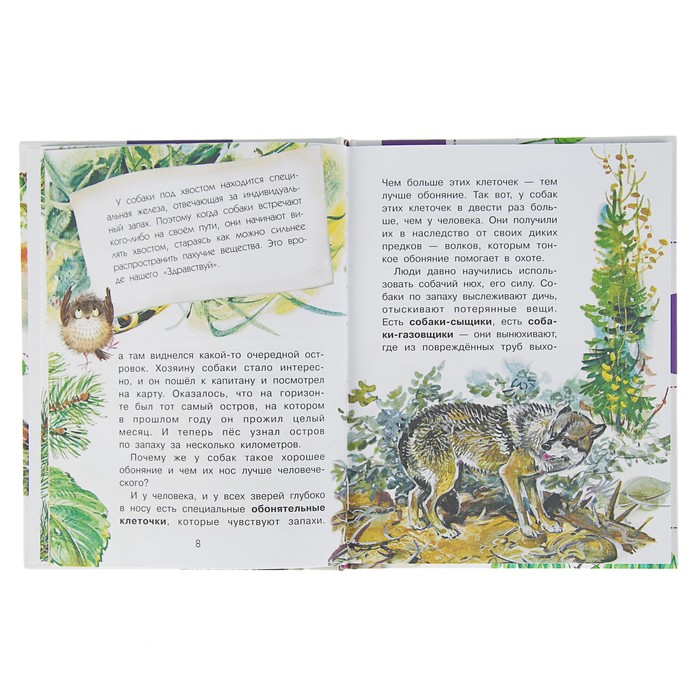 Для чего коту усы? Автор: Танасийчук В.Н.