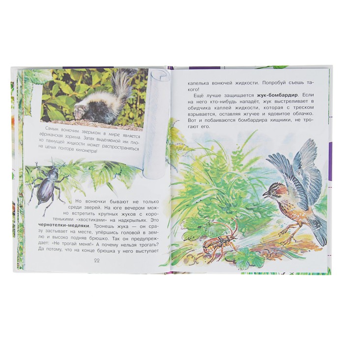 Для чего коту усы? Автор: Танасийчук В.Н.