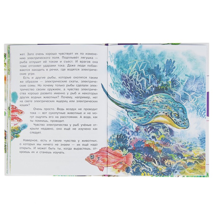 Для чего коту усы? Автор: Танасийчук В.Н.