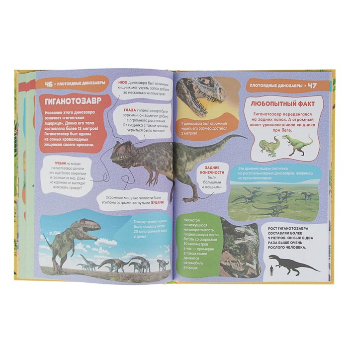 Большие и маленькие динозавры. Автор: Дорошенко М.А.