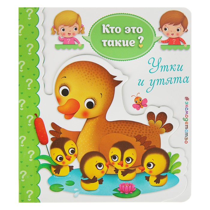 Кто это такие? "Утки и утята"